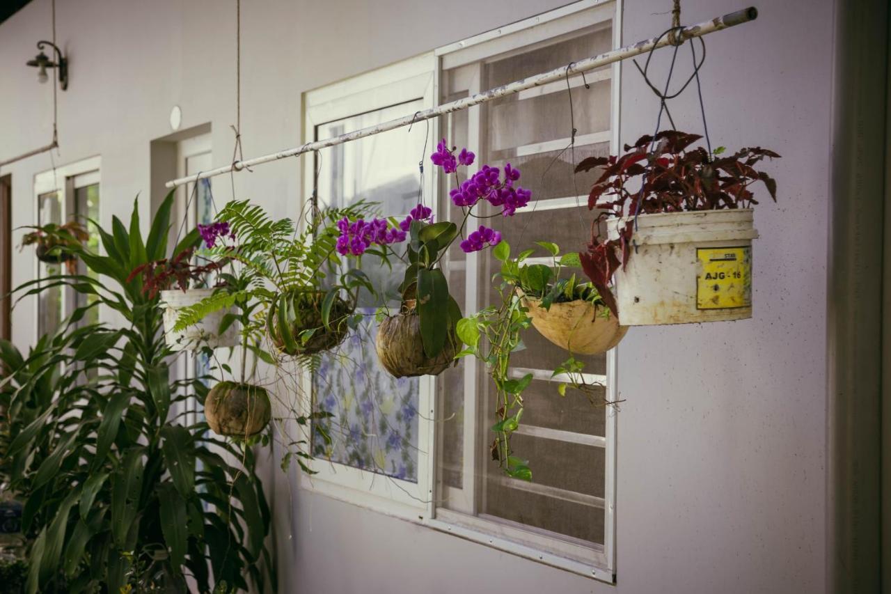 Manh Duyen Garden Homestay Дуонг-Донг Экстерьер фото