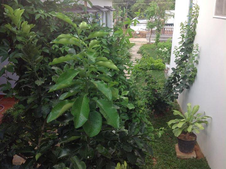 Manh Duyen Garden Homestay Дуонг-Донг Экстерьер фото