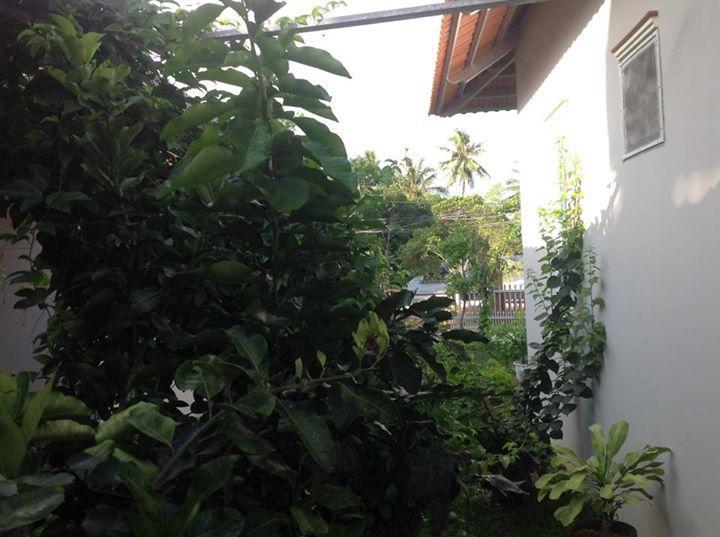 Manh Duyen Garden Homestay Дуонг-Донг Экстерьер фото
